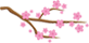 募集職種
